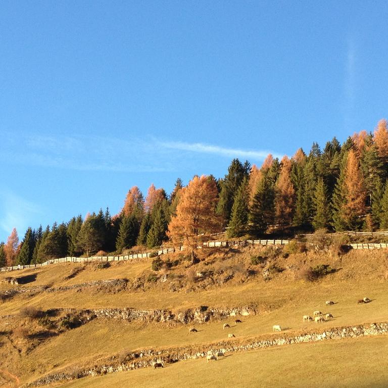 Agriturismo Maso Larciunei Selva di Val Gardena Exteriér fotografie